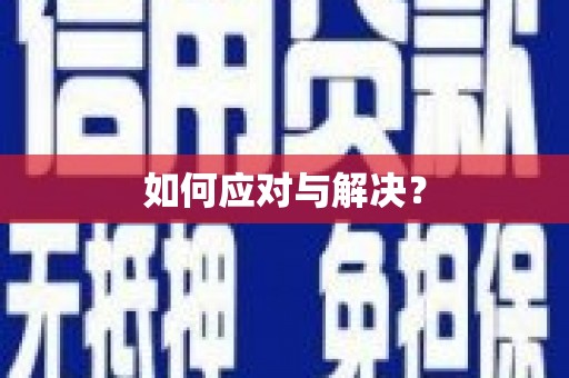 西夏如何应对与解决？